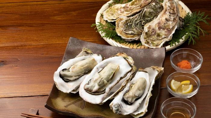 13 Oyster Stops Near Hiroshima Station