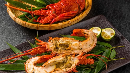 17 Best Roppongi Restaurants for a Special Celebration