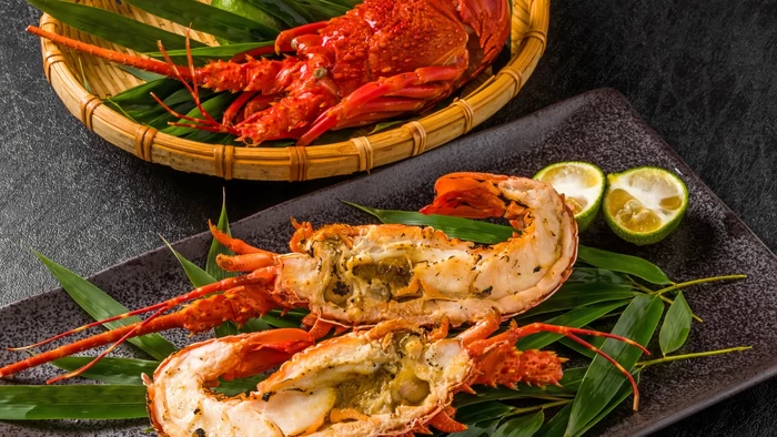 17 Best Roppongi Restaurants for a Special Celebration