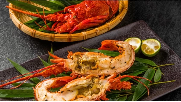 17 Best Roppongi Restaurants for a Special Celebration