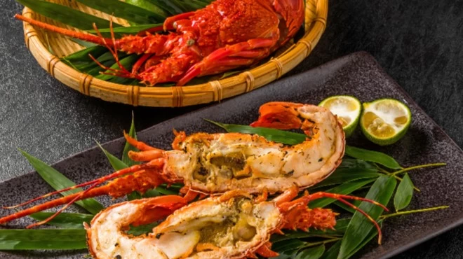 17 Best Roppongi Restaurants for a Special Celebration