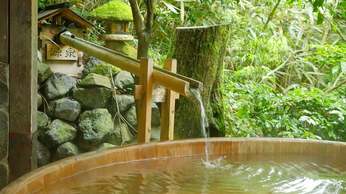 12 Best Day-Trip Hot Spring Inns to Visit in Hakone
