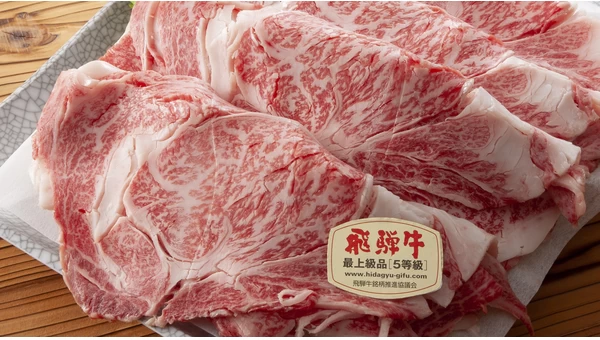 12 Best Lunch Spots in Hida Takayama for Hida Beef and Local Cuisine