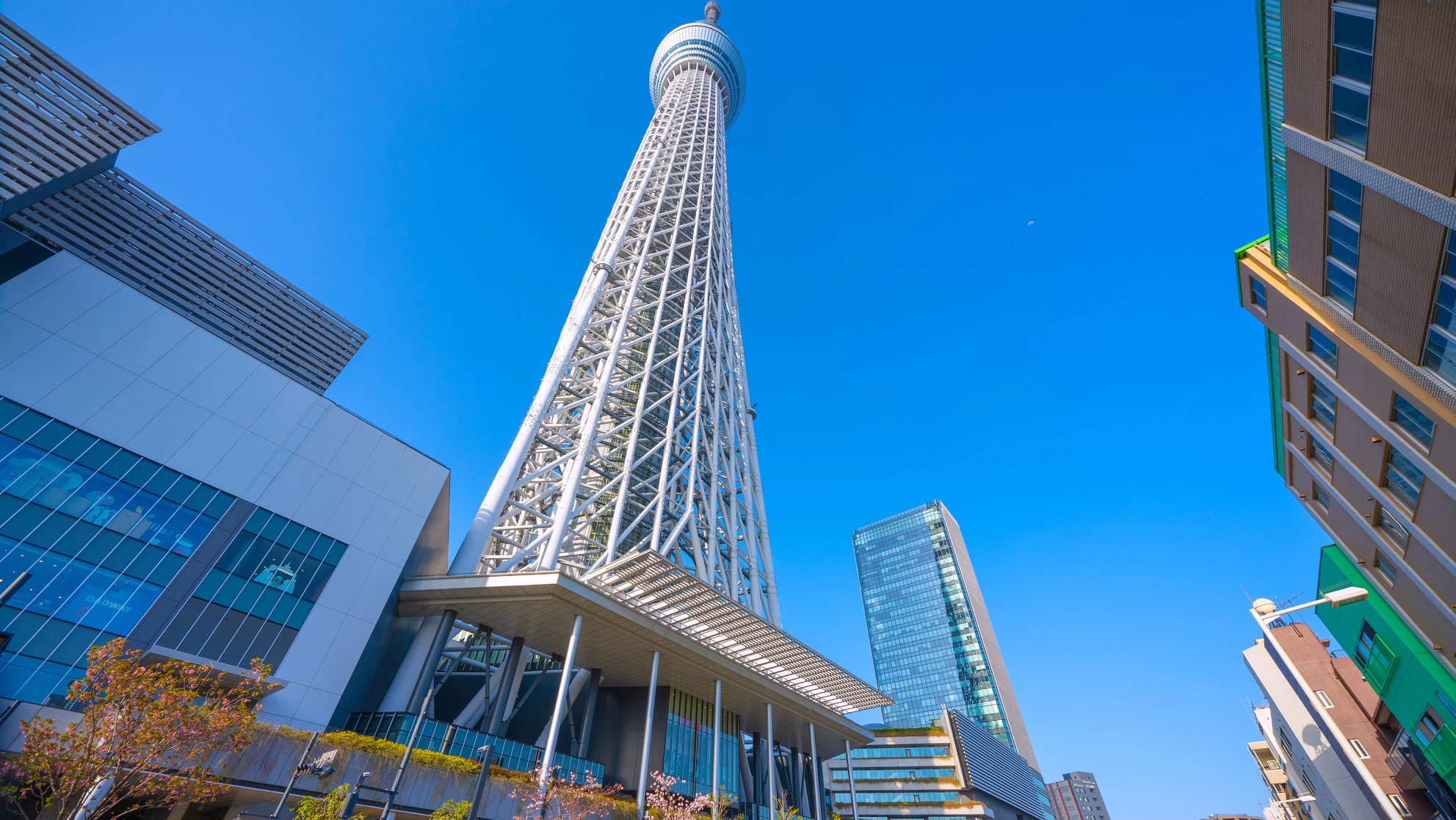 8 Restaurants to Try Near Tokyo Skytree