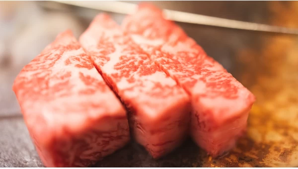 8 Best Restaurants for Delicious Meat Lunches in Yamagata