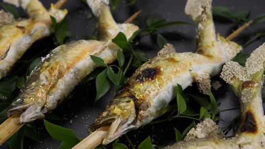 5 Must-Try Lunch Spots Near Mino’s Historic Old Town