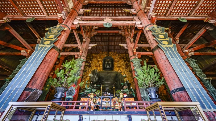 6 Recommended Hotels Near Todaiji Temple in Nara