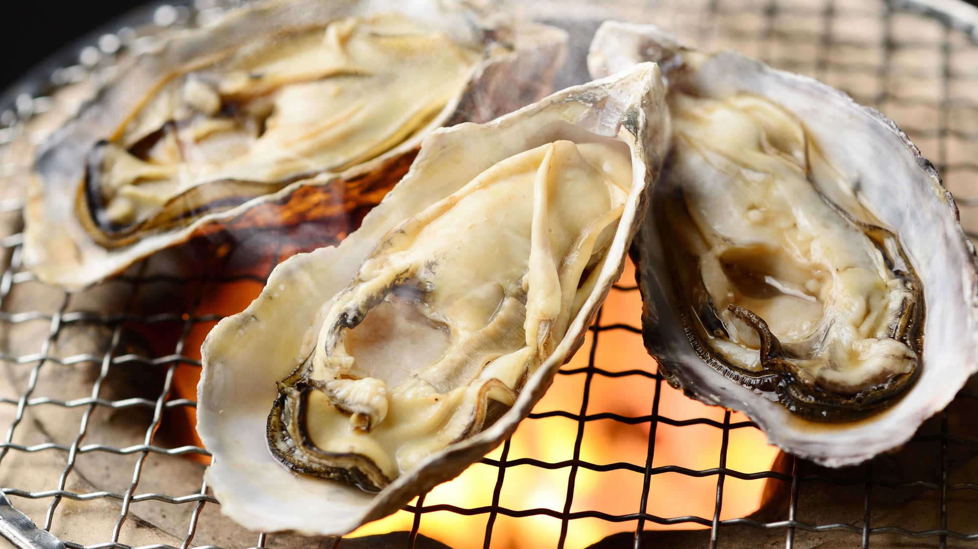 Where to Eat Oysters Around Oarai: Popular Restaurants, Prices, and Opening Hours