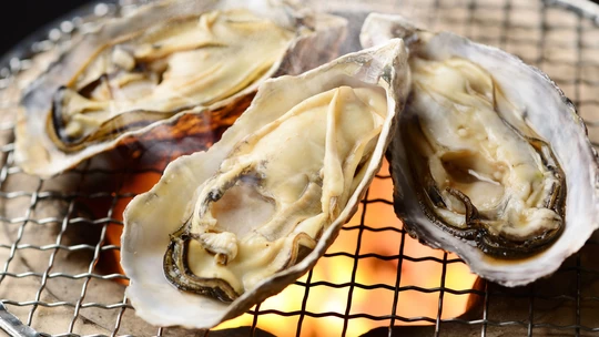 Where to Eat Oysters Around Oarai: Popular Restaurants, Prices, and Opening Hours