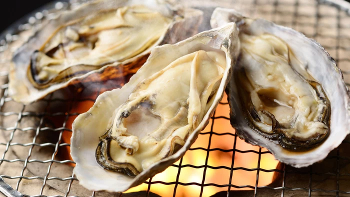 Where to Eat Oysters Around Oarai: Popular Restaurants, Prices, and Opening Hours