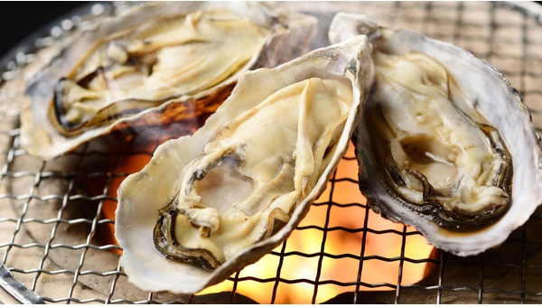 Where to Eat Oysters Around Oarai: Popular Restaurants, Prices, and Opening Hours