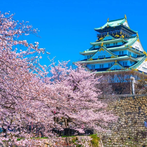 [Osaka Tourism] 15 Famous Cherry Blossom Spots – Introducing the Best Spots for Cherry Blossom Viewing!