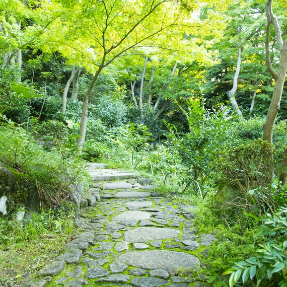 Shibuya Sightseeing Guide: 19 Must-See Attractions, from Iconic Spots to Local Favorites