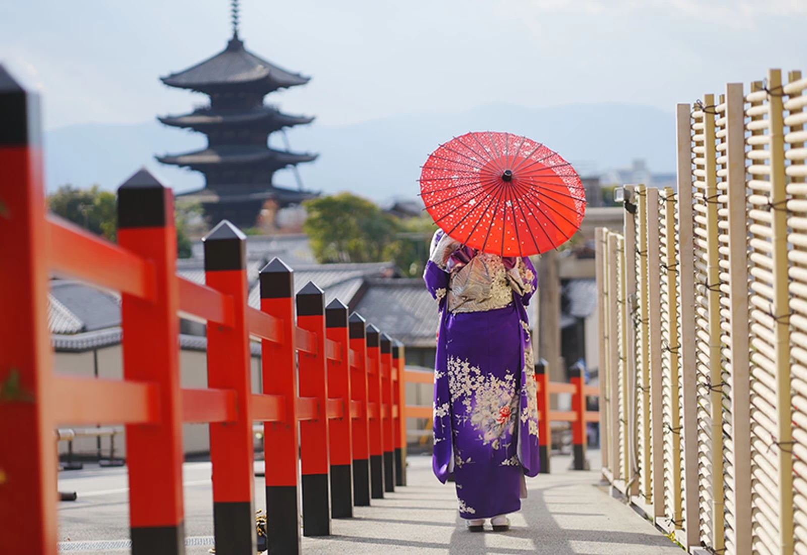 Kyoto Kimono Rental mimosa