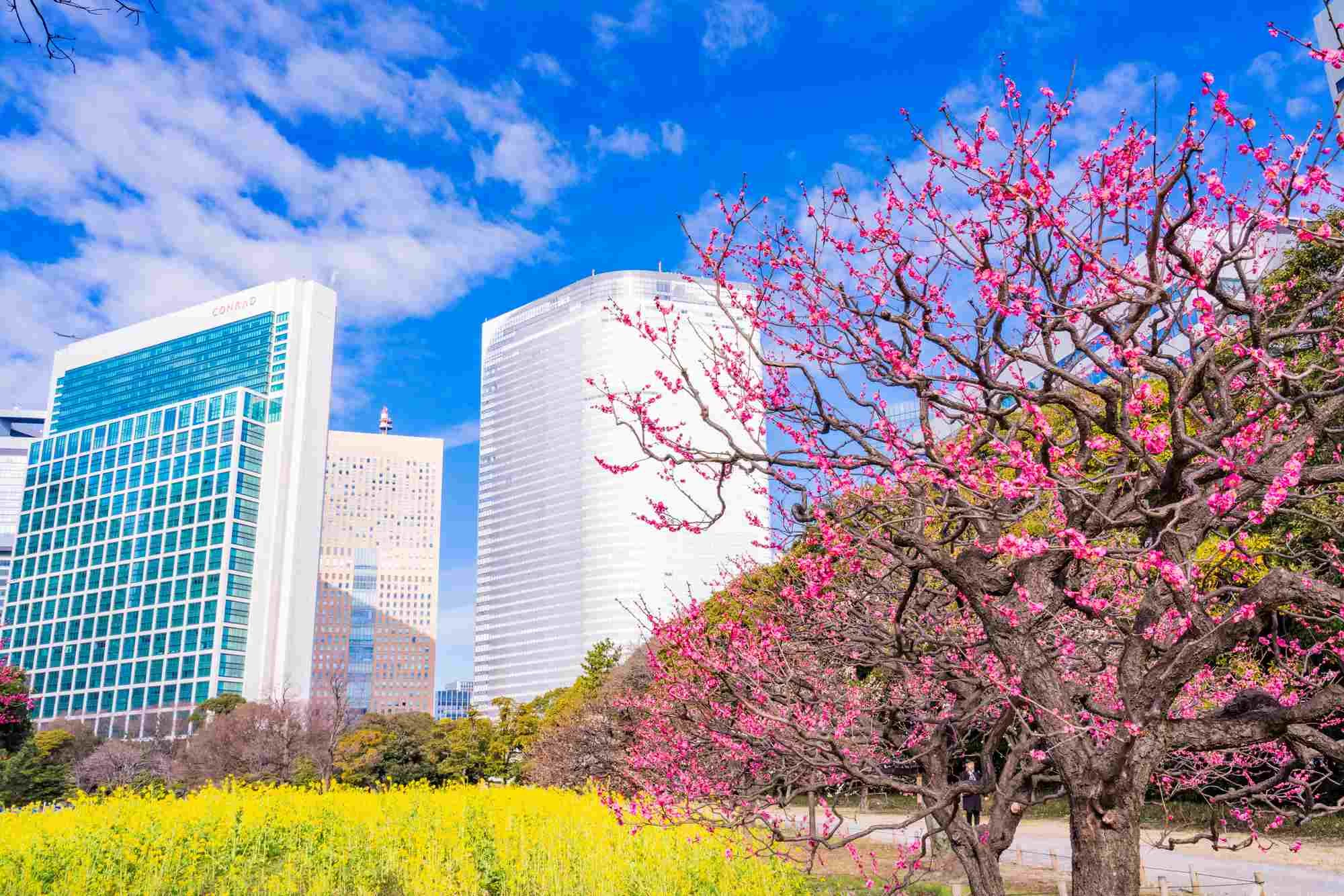 Surrounded by the City