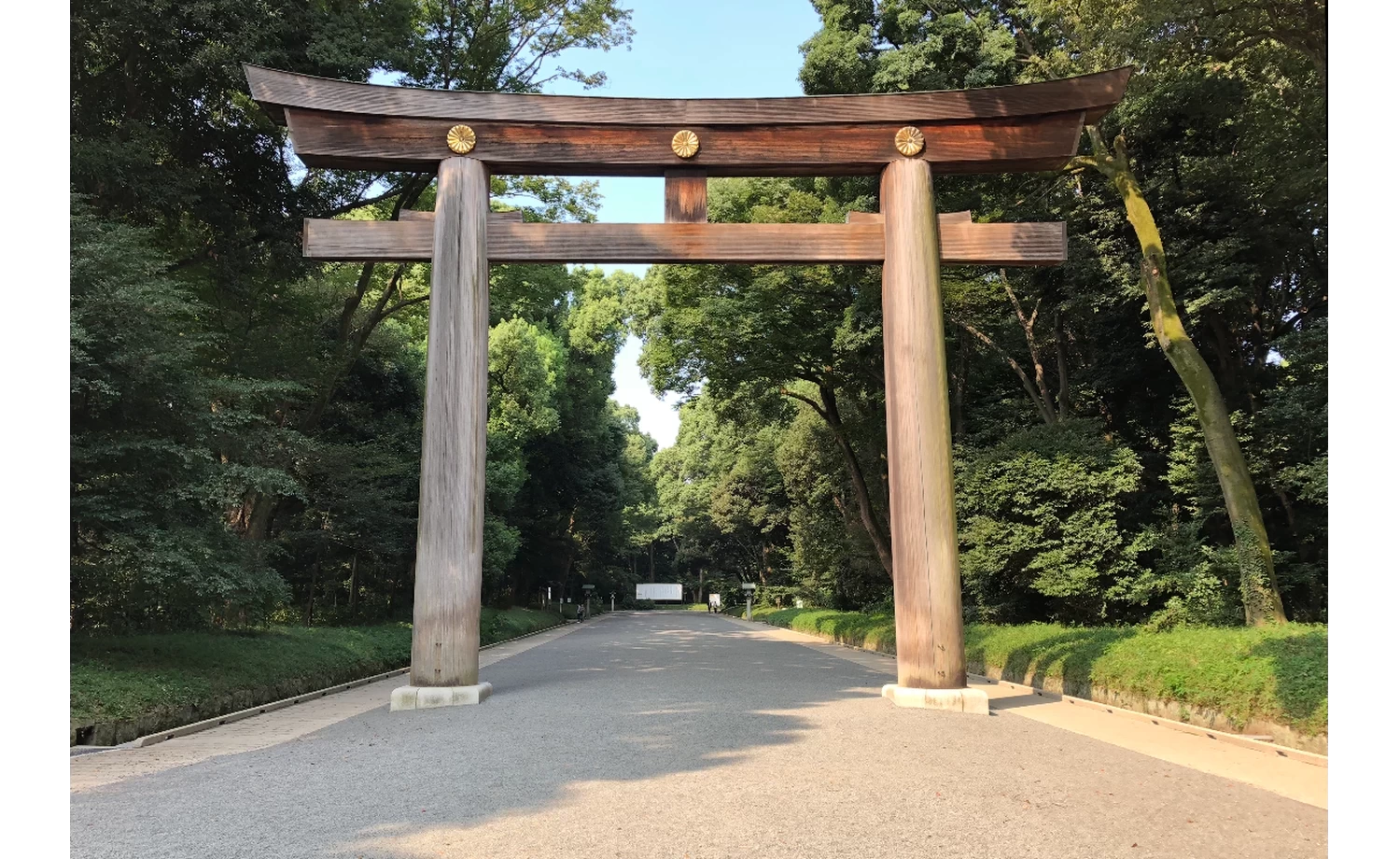 Torii gate