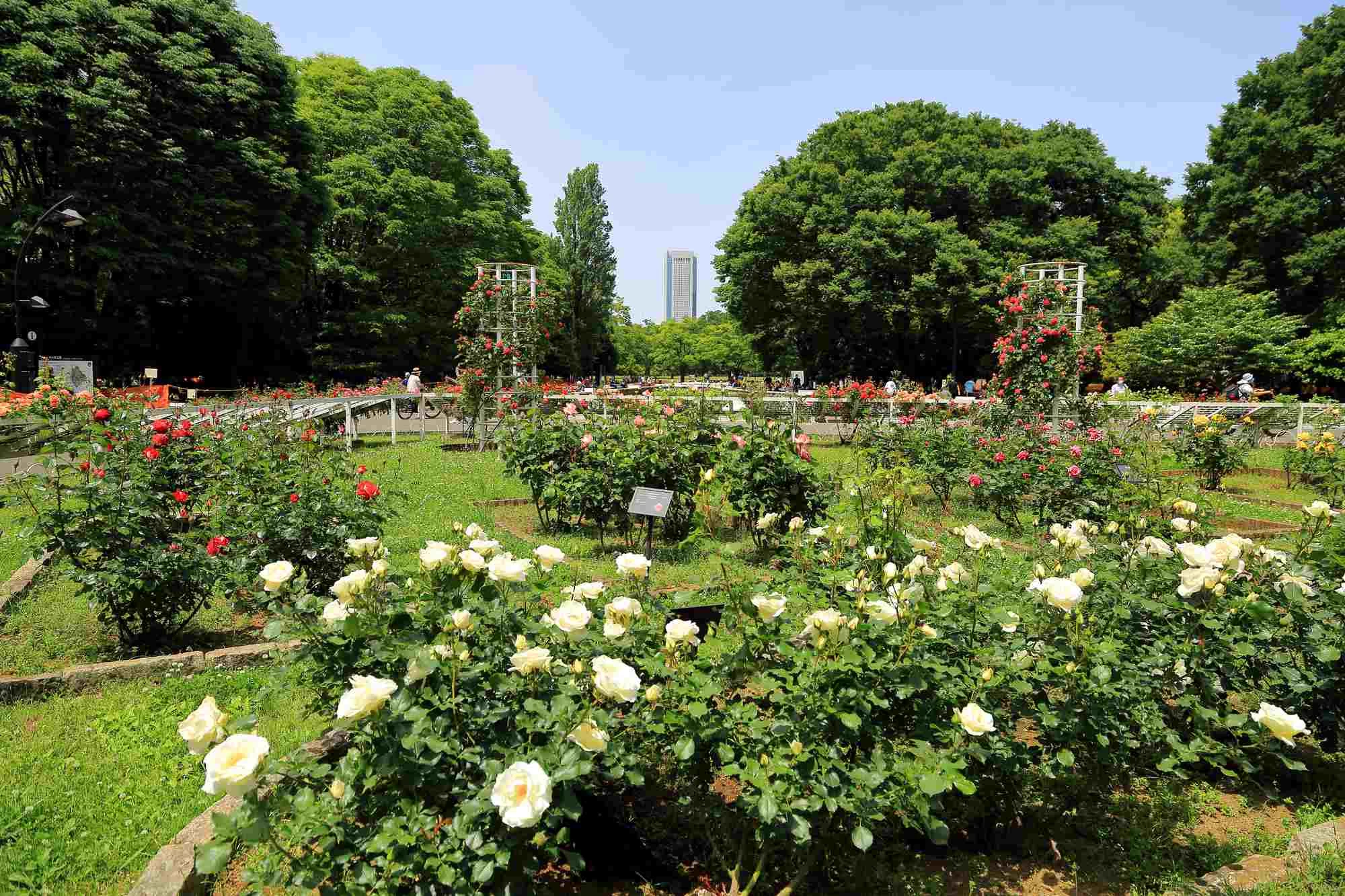 Yoyogi Park
