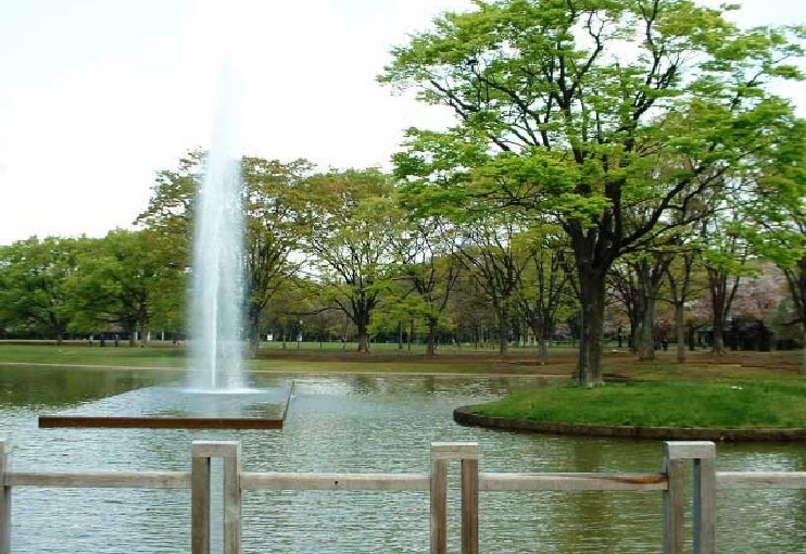Fountain at Yoyogi Park