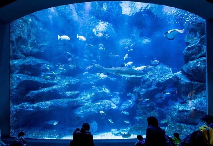 Sumida Aquarium