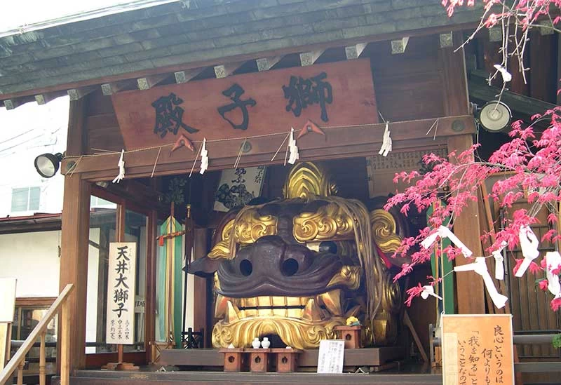 Large lion head mask