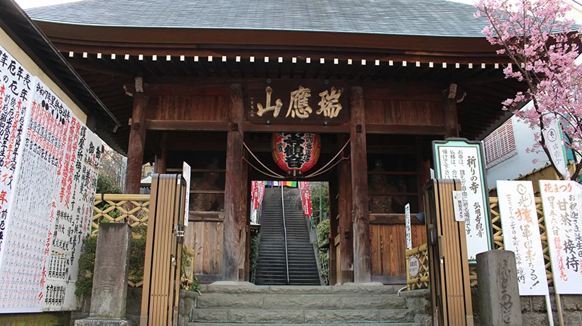 Temple gate