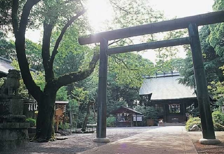 Torii Gate