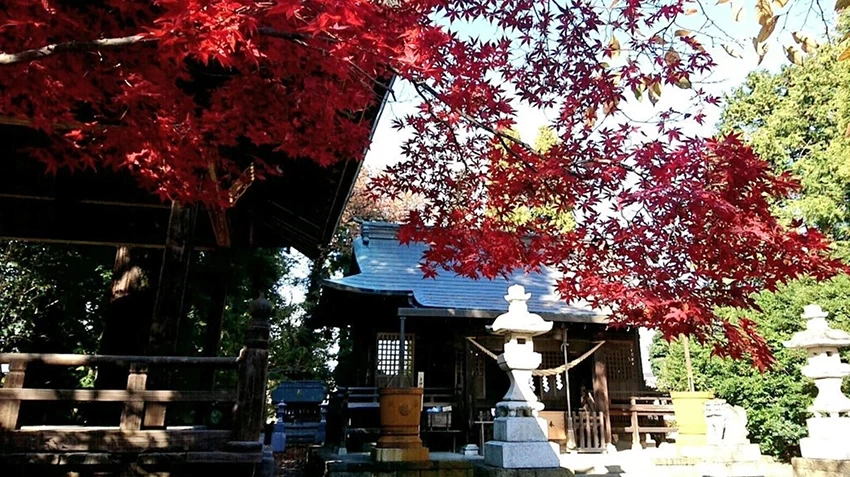 Hirayanagi Hoshinomiya Shrine