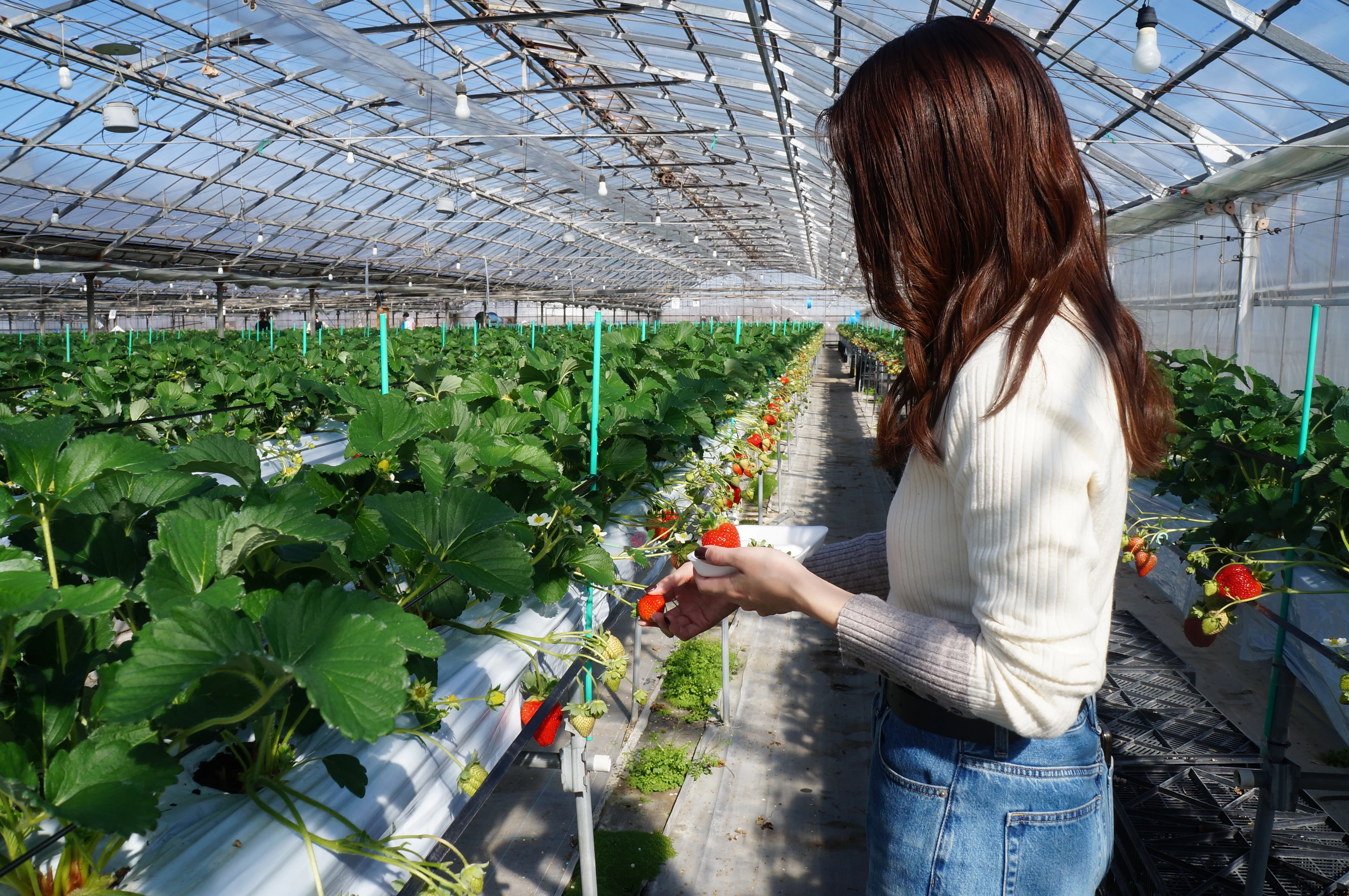 Coats off once inside the greenhouse